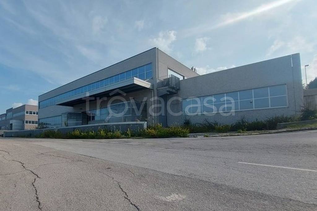 terreno edificabile in vendita a Filottrano