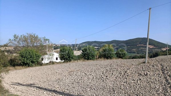 locale di sgombero in vendita a Filottrano