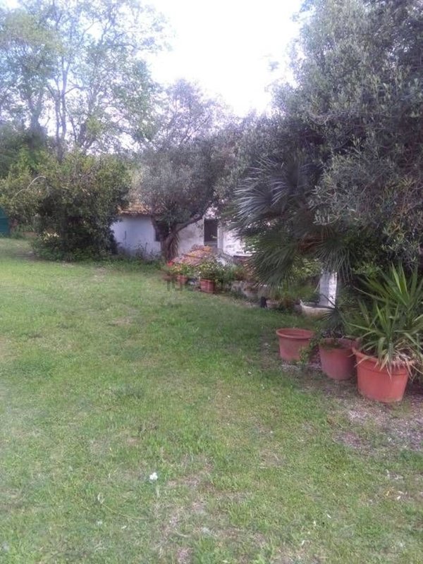 casa indipendente in vendita a Filottrano