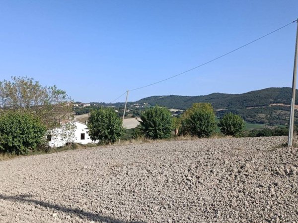 intera palazzina in vendita a Filottrano