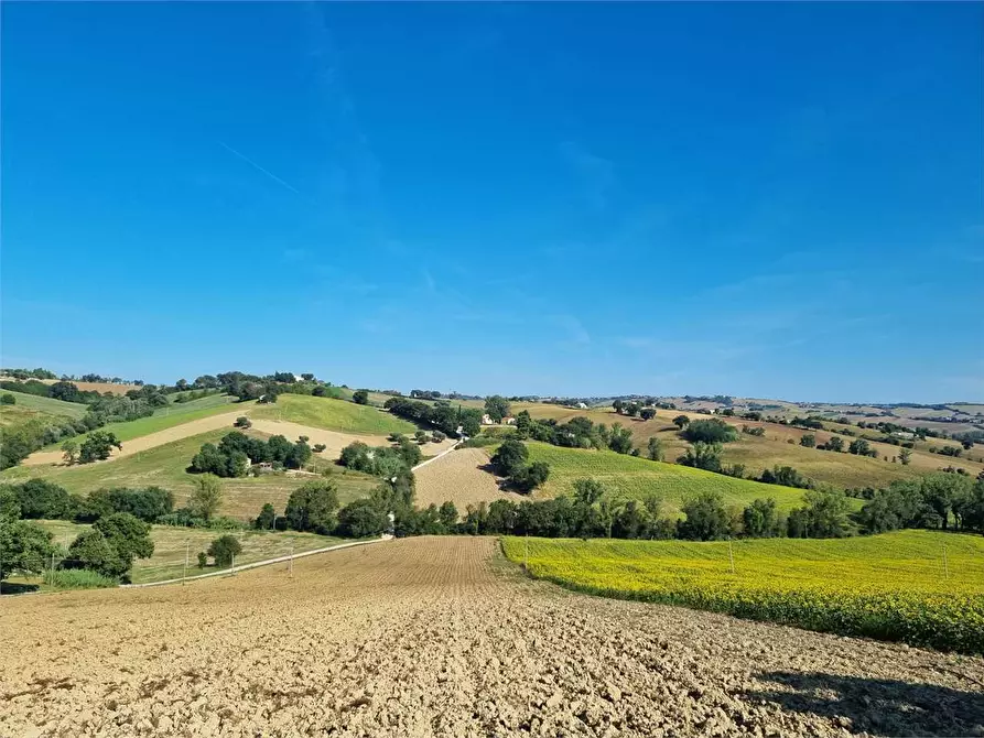 appartamento in vendita a Filottrano
