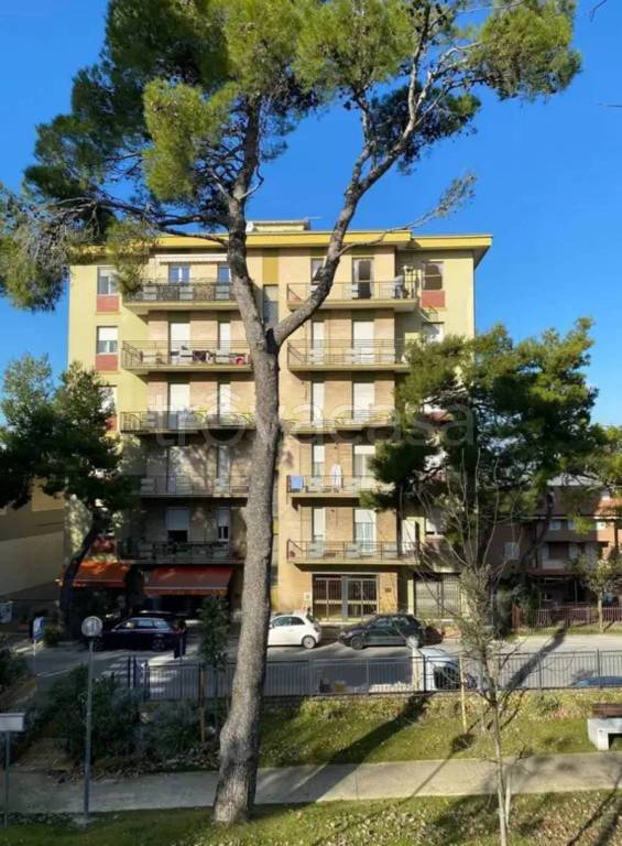 appartamento in vendita a Filottrano