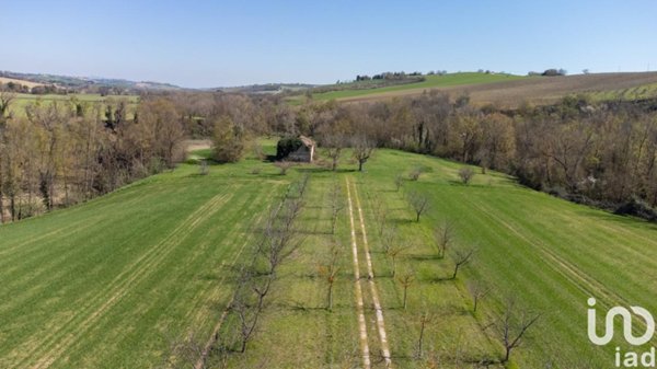 casa indipendente in vendita a Filottrano