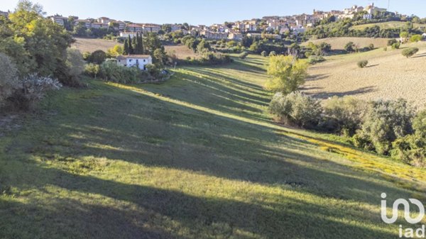 terreno agricolo in vendita a Filottrano