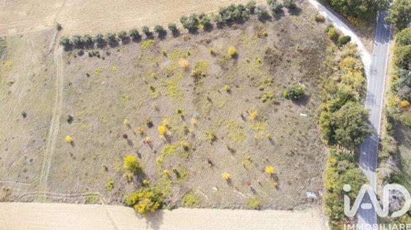 terreno agricolo in vendita a Filottrano in zona Montoro