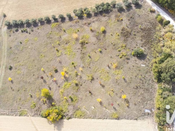 terreno agricolo in vendita a Filottrano in zona Montoro
