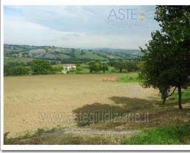 terreno agricolo in vendita a Filottrano