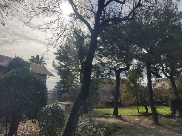 appartamento in vendita a Filottrano