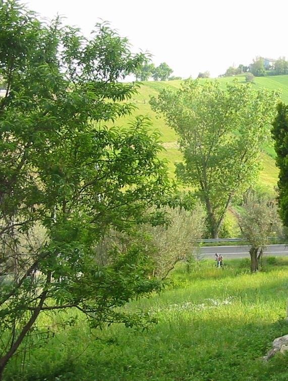 terreno edificabile in vendita a Filottrano in zona Montoro