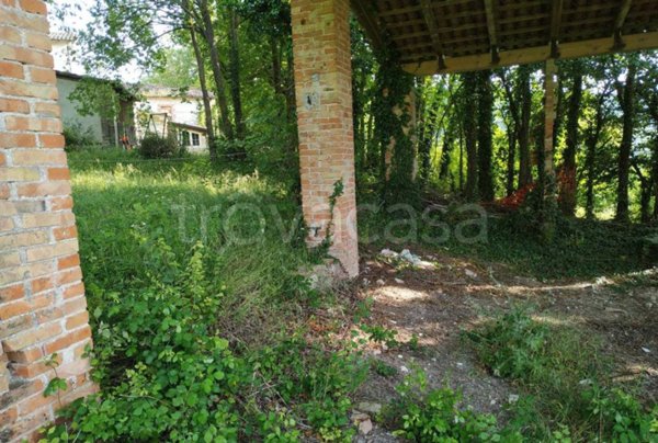 terreno agricolo in vendita a Genga in zona San Fortunato