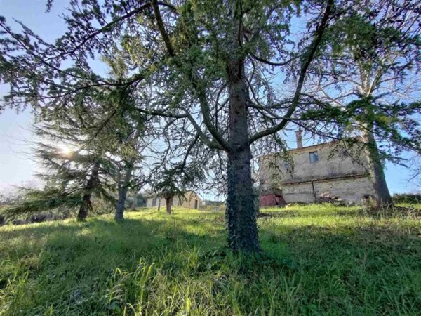 casa indipendente in vendita a Jesi