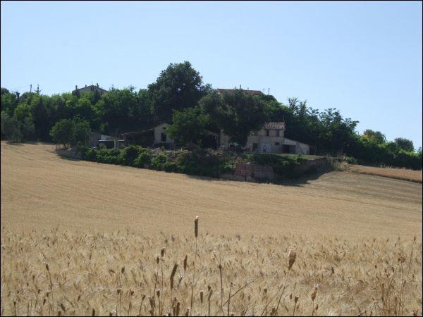 casa indipendente in vendita a Jesi