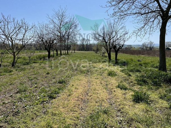 terreno agricolo in vendita a Jesi