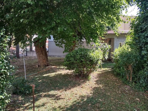 negozio in vendita a Jesi