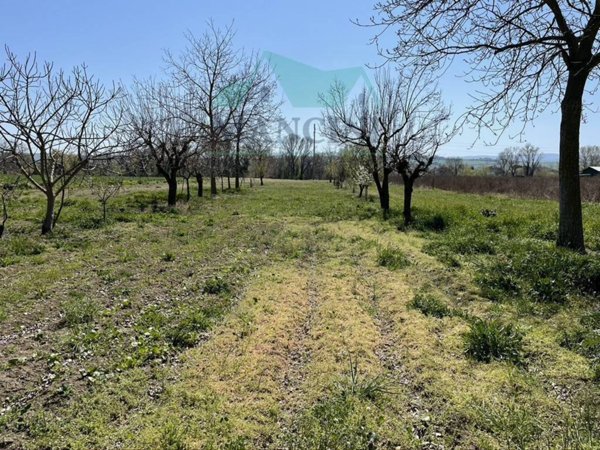 terreno agricolo in vendita a Jesi in zona Tabano