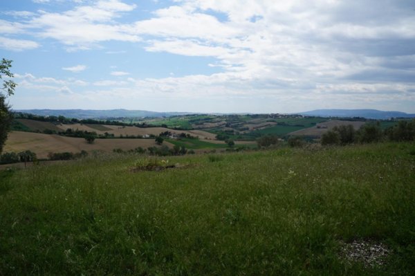 casa indipendente in vendita a Jesi