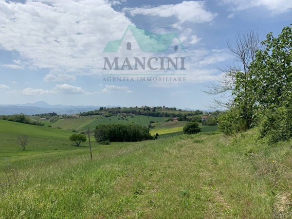 terreno agricolo in vendita a Jesi