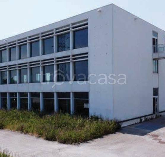 negozio in vendita a Jesi