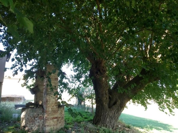 casa indipendente in vendita a Jesi