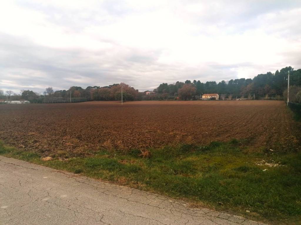 terreno agricolo in vendita a Jesi in zona Tabano