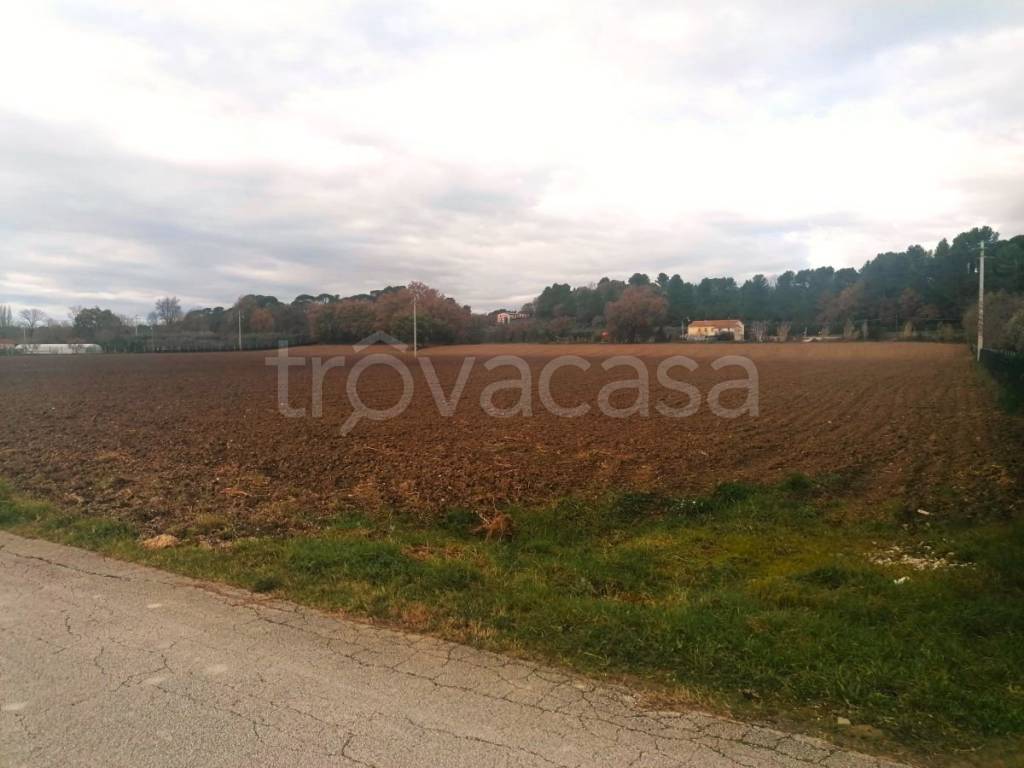 terreno agricolo in vendita a Jesi