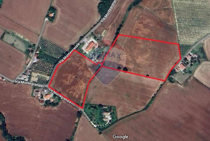 terreno agricolo in vendita a Jesi