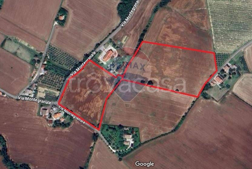 terreno agricolo in vendita a Jesi