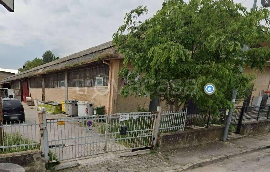 appartamento in vendita a Jesi