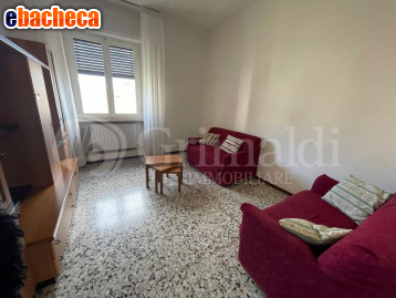 appartamento in vendita a Jesi