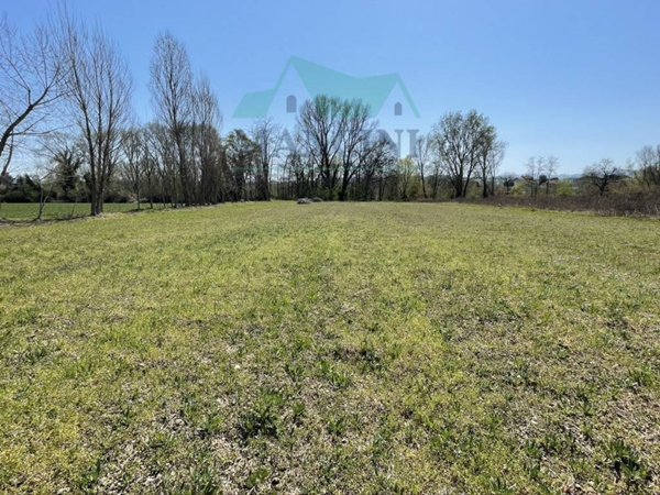 terreno agricolo in vendita a Jesi