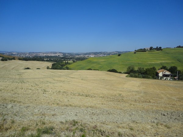 terreno agricolo in vendita a Jesi