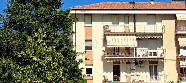 appartamento in vendita a Jesi