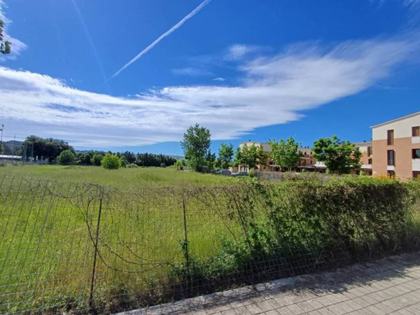 terreno agricolo in vendita a Jesi