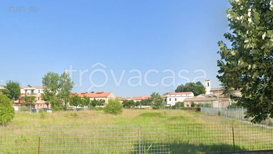 terreno agricolo in vendita a Jesi