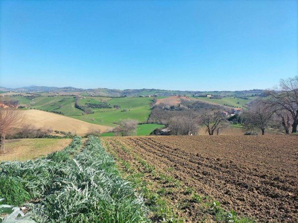 terreno agricolo in vendita a Jesi