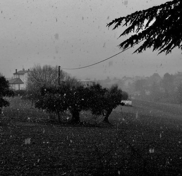 terreno agricolo in vendita a Jesi