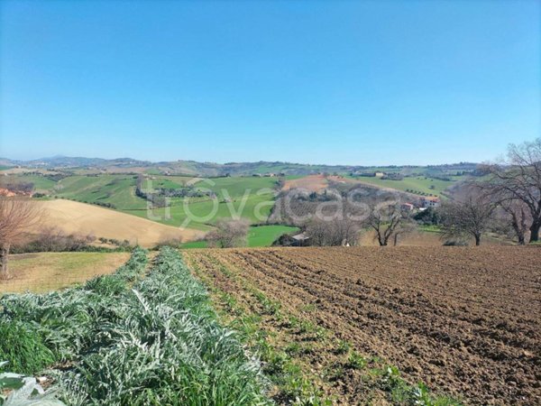 terreno agricolo in vendita a Jesi