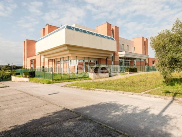 intera palazzina in vendita a Jesi