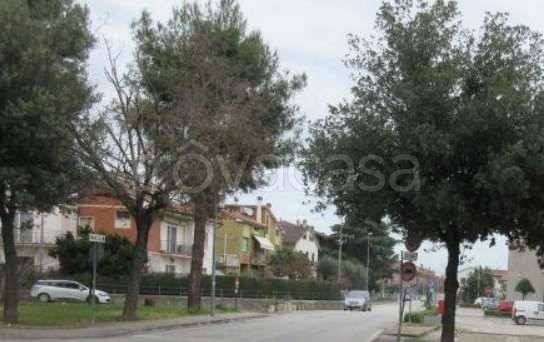 appartamento in vendita a Jesi