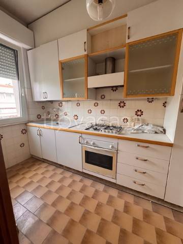 appartamento in vendita a Jesi