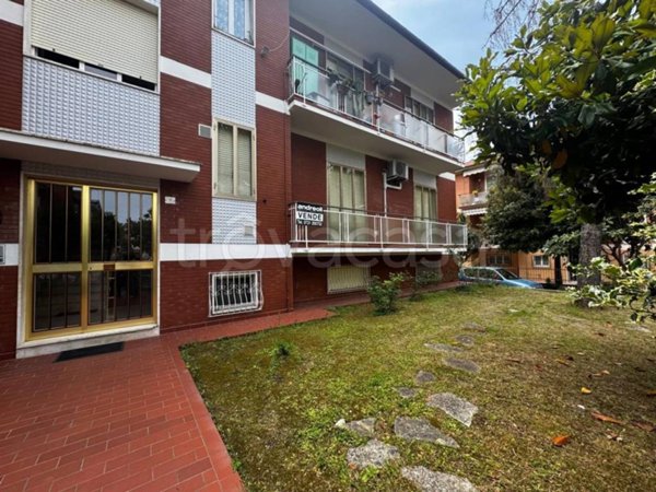 appartamento in vendita a Jesi
