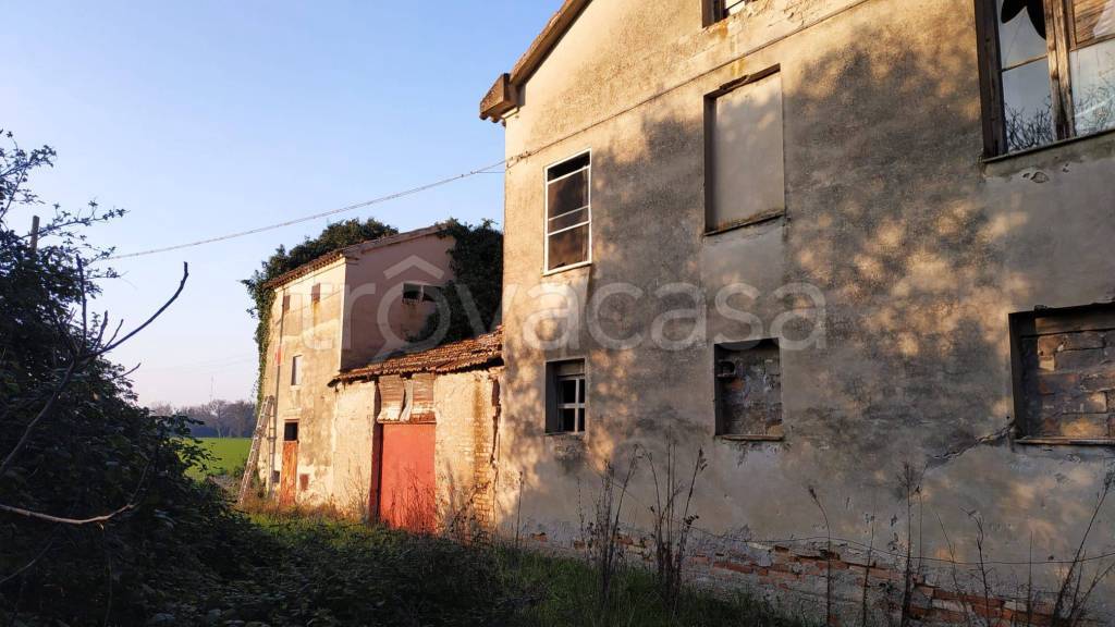 appartamento in vendita a Jesi