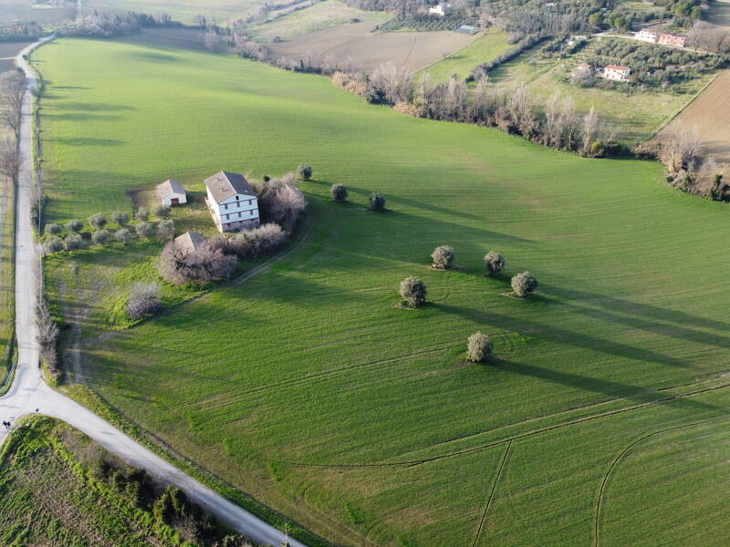 terreno agricolo in vendita a Jesi