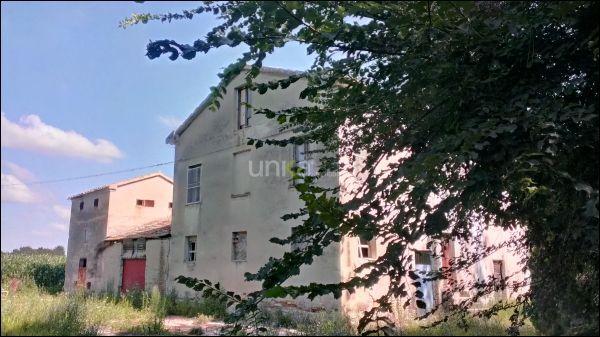 esavano in vendita a Jesi