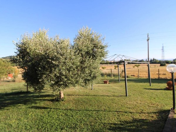 appartamento in vendita a Jesi