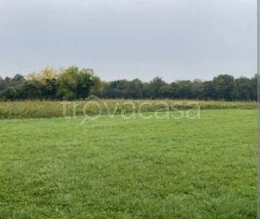 terreno agricolo in vendita a Jesi