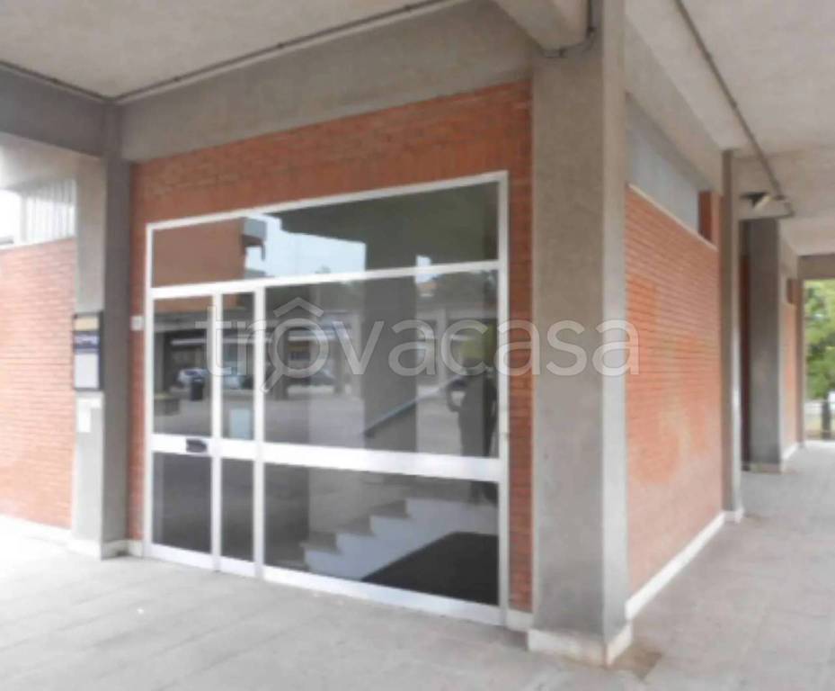 appartamento in vendita a Jesi