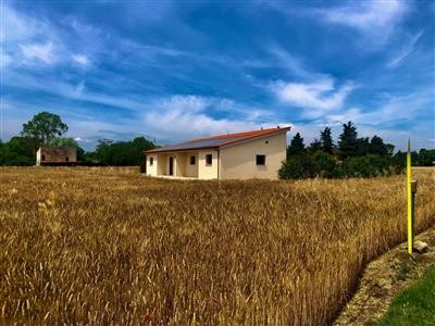 terreno agricolo in vendita a Jesi