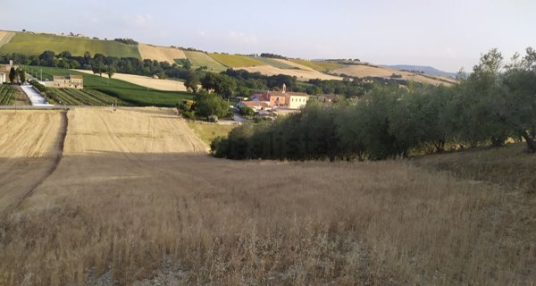 terreno agricolo in vendita a Jesi in zona Castelrosino