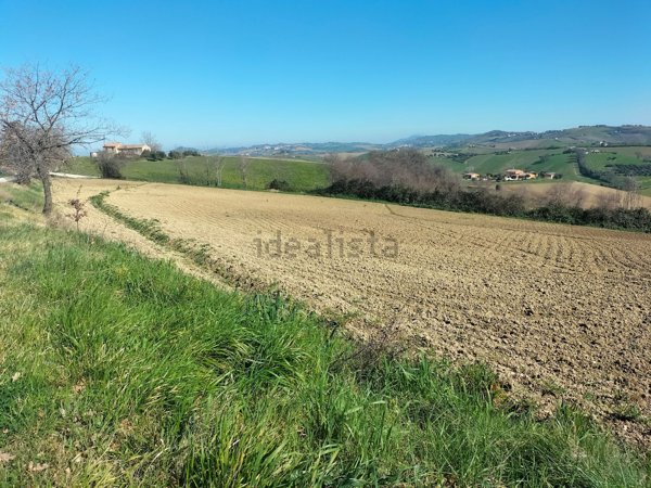 terreno agricolo in vendita a Jesi